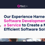 Our Experience Harnessing Software Development as a Service to Create a More Efficient Software Solution